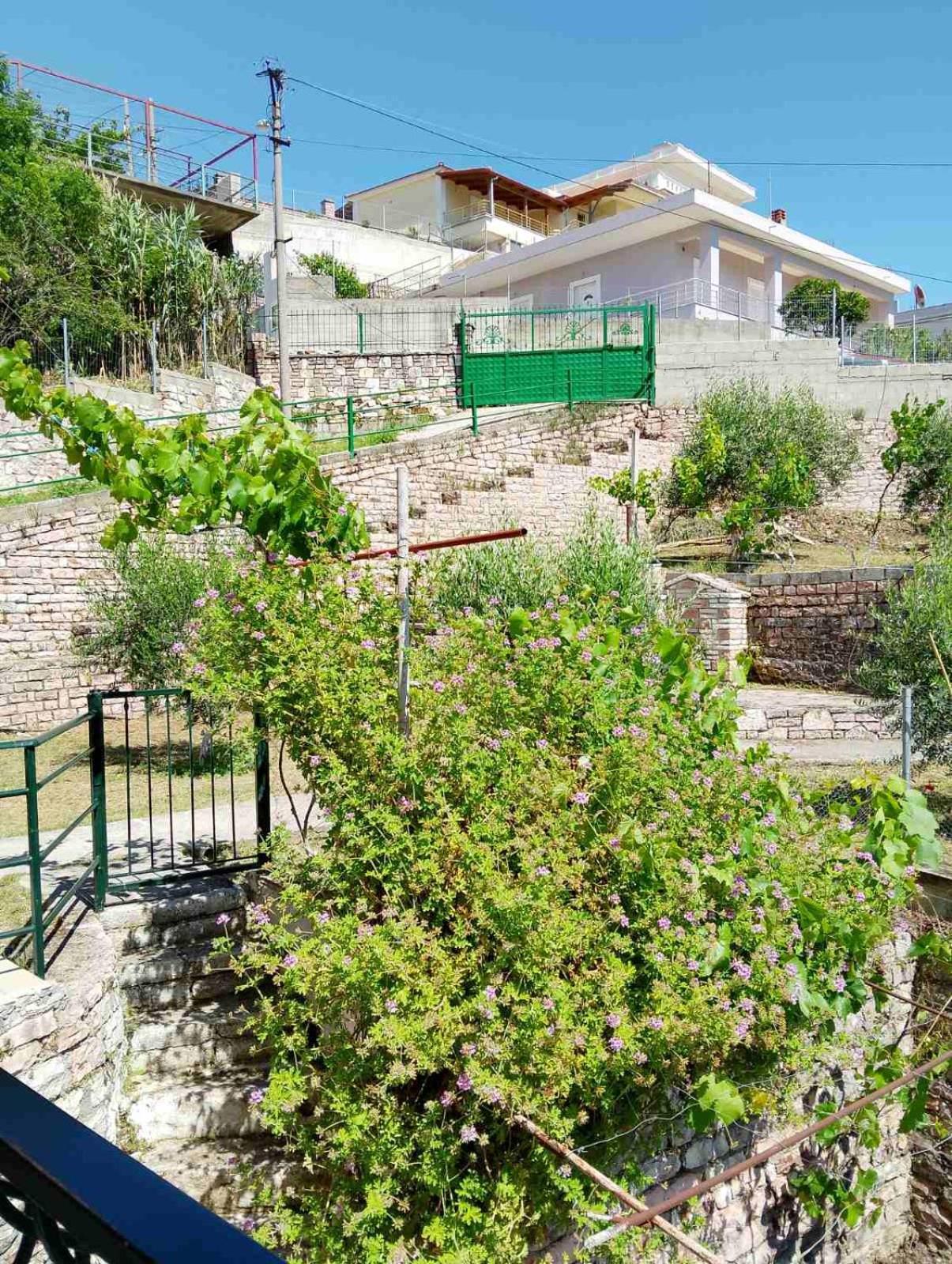 Apartment Spiros House *